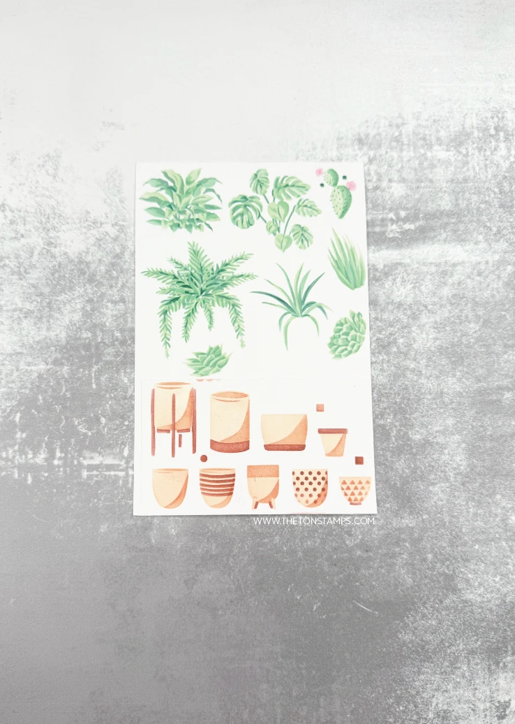 Fustelle in Metallo per Taglio - Summer Clothing Release recensione e prezzo