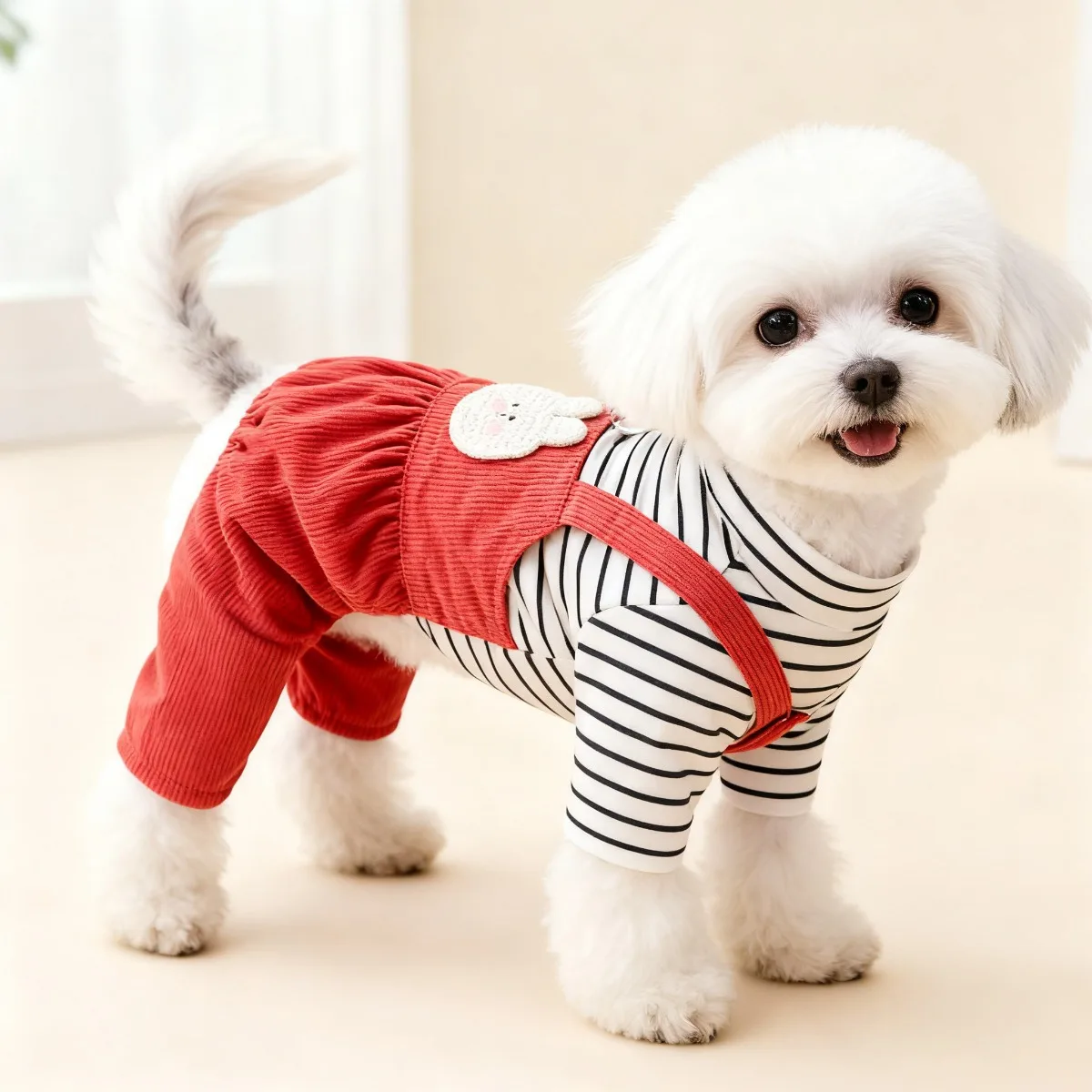 Abbigliamento per Animali Dome - Summer Days Clothing recensione e prezzo