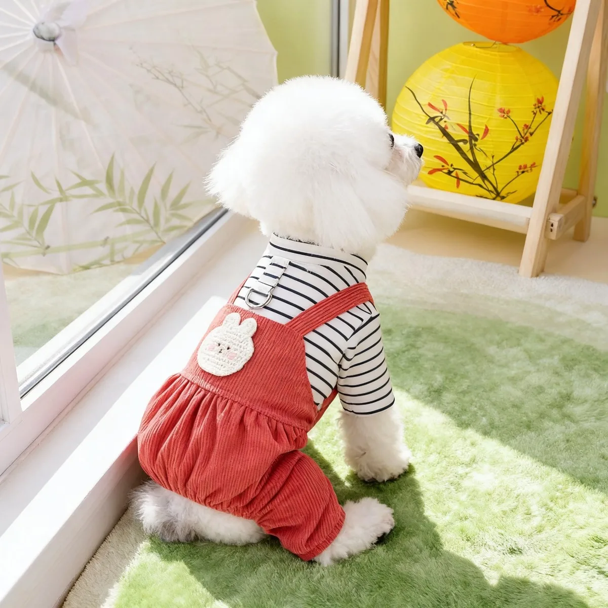 Abbigliamento per Animali Dome - Summer Days Clothing recensione e prezzo