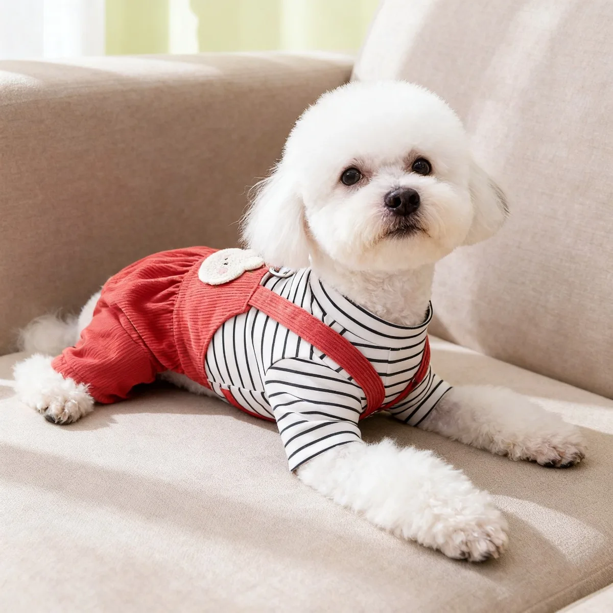 Abbigliamento per Animali Dome - Summer Days Clothing recensione e prezzo