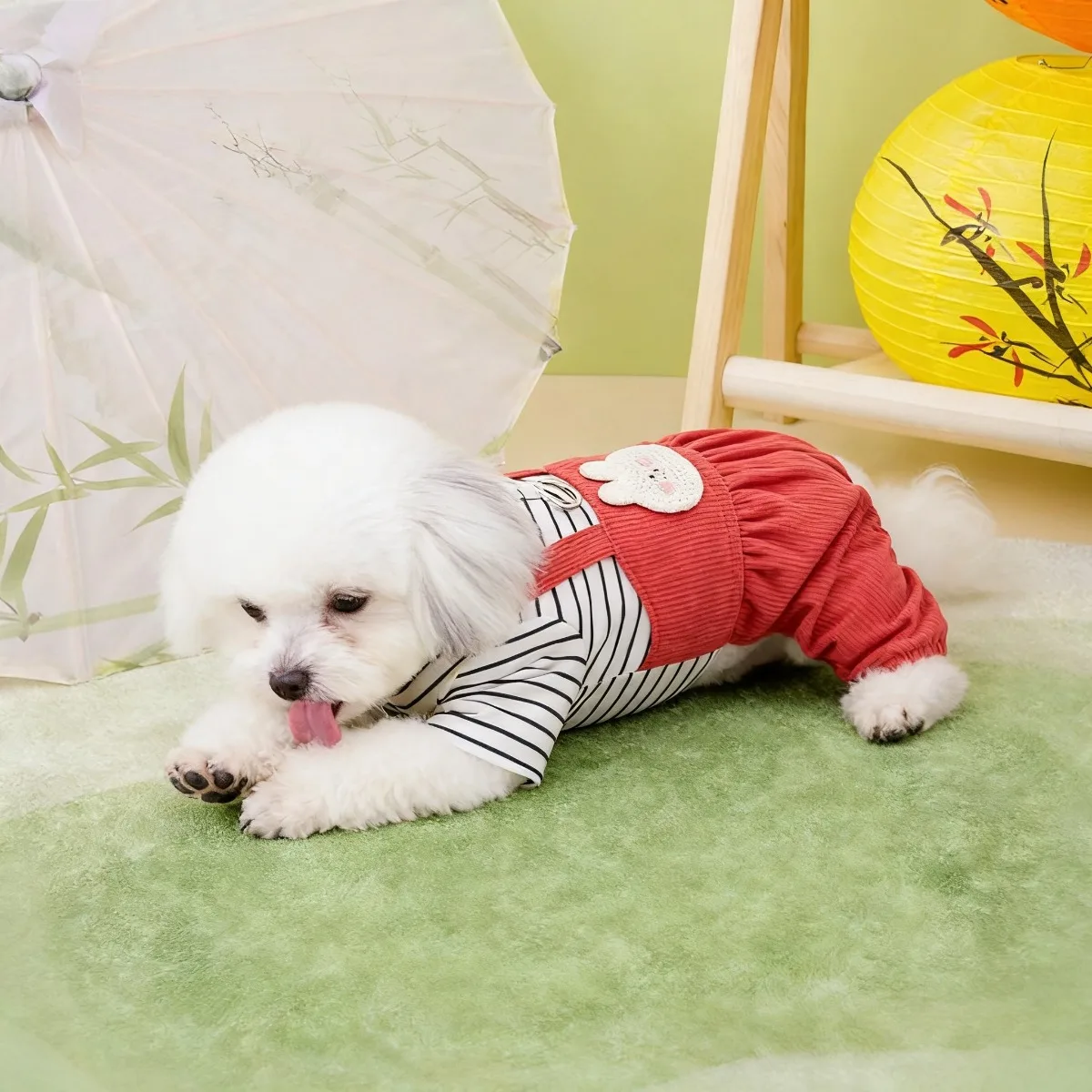 Abbigliamento per Animali Dome - Summer Days Clothing recensione e prezzo